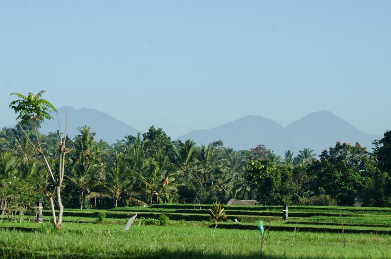 Cenik Villa Ubud Eksteriør bilde