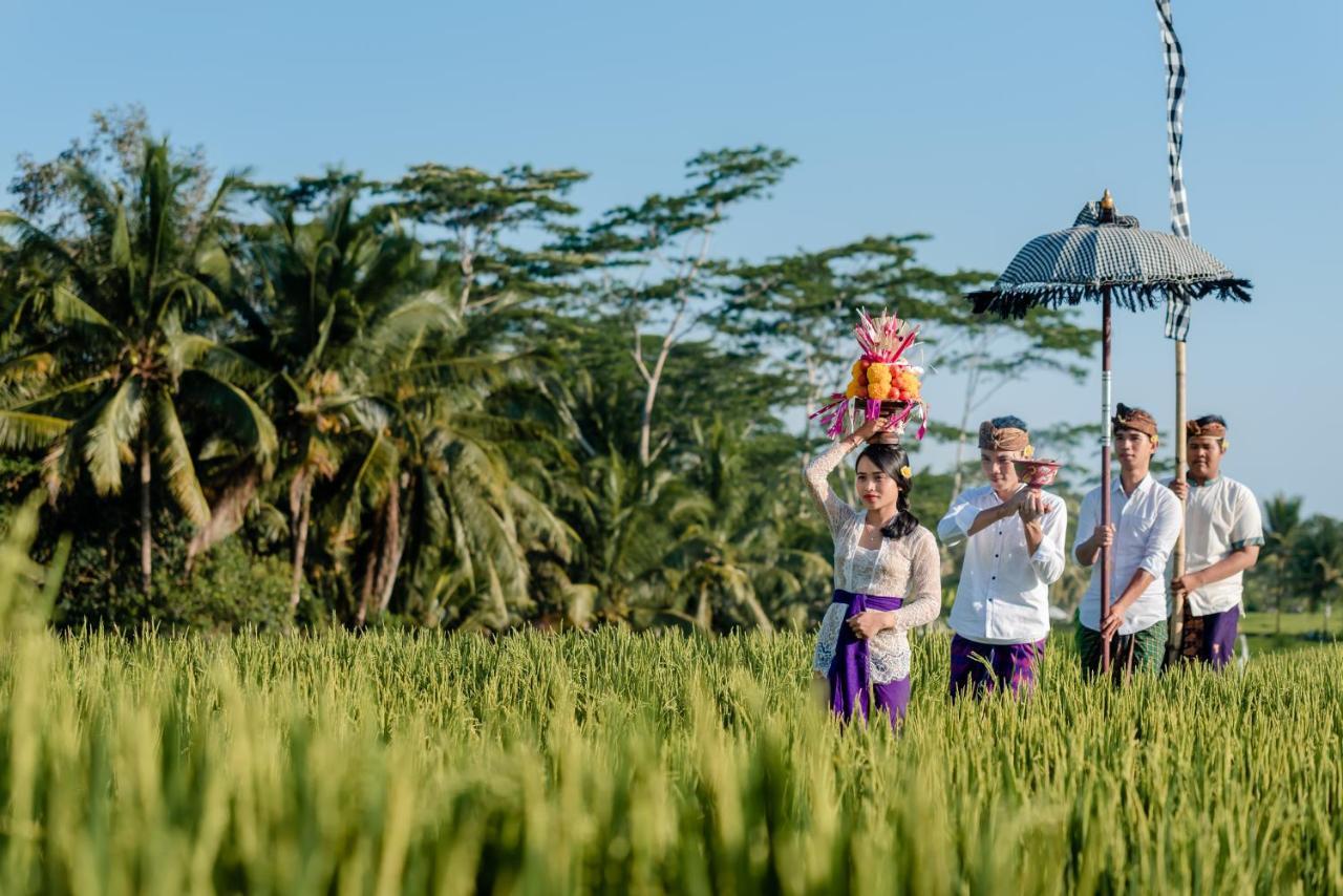 Cenik Villa Ubud Eksteriør bilde